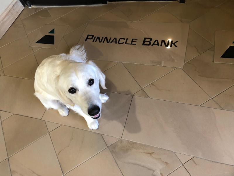 Tallulah Leads to Pinnacle Bank